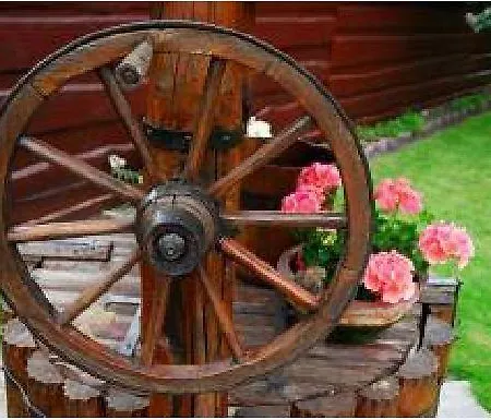 Dom wakacyjny Alzbeta *