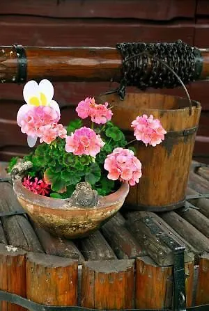 Alzbeta Liptovský Ján